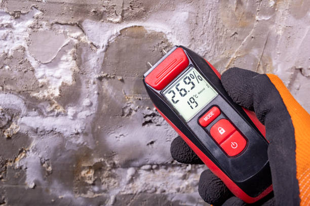 Certified Mold Removal in Prior Lake, MN